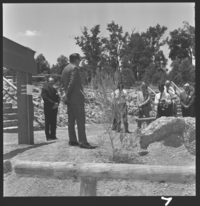 slwa_b2485518_2.jpg