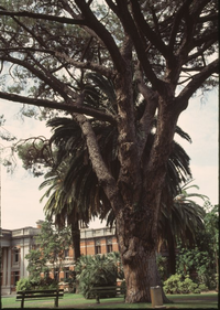 slwa_b2846989_13.jpg